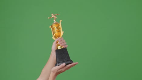 raised hands of a man are holding a trophy. green screen background