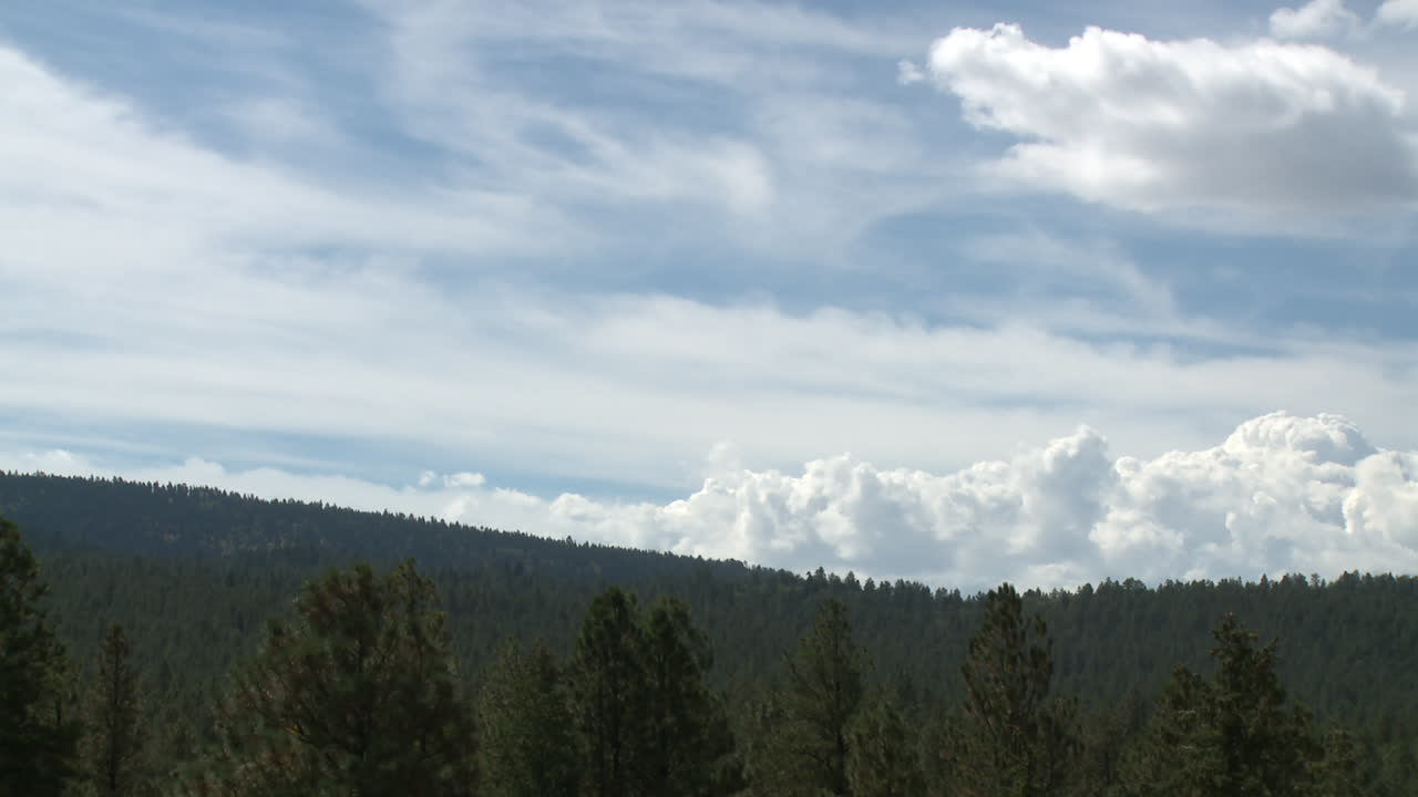 Cloudy Sky over Forest Landscape