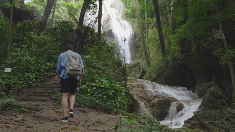 hiking to a waterfall in a lush tropical forest