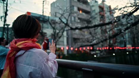 woman taking picture of cherry blossoms in japan