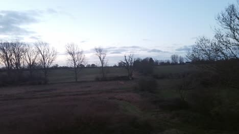 Moody-atmosphere,-winter-trees-in-England