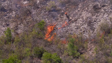 a bush fire in the portuguese mountains of monchique