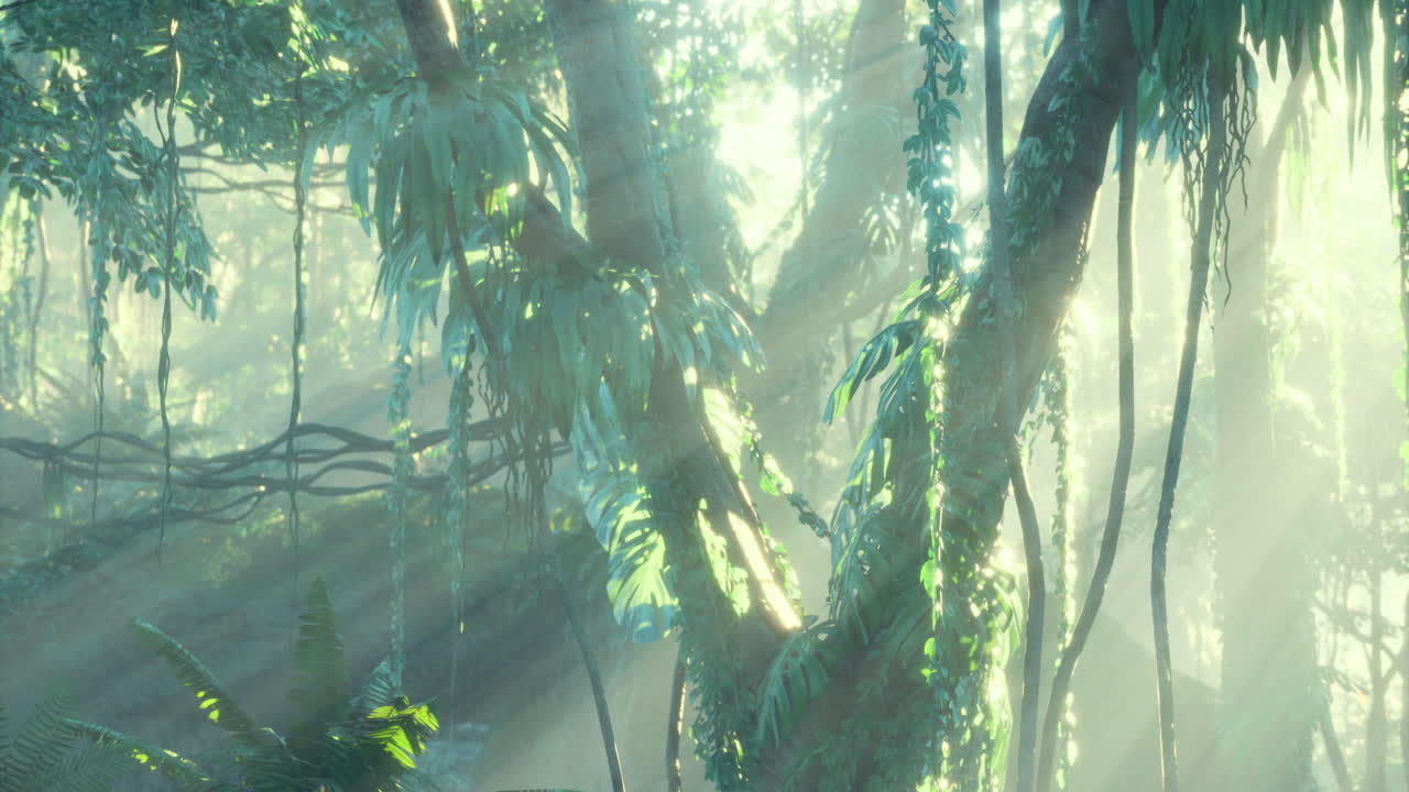 Light filtering through dense jungle foliage during a tranquil morning