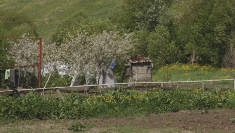 clothes hanging on the line on a small