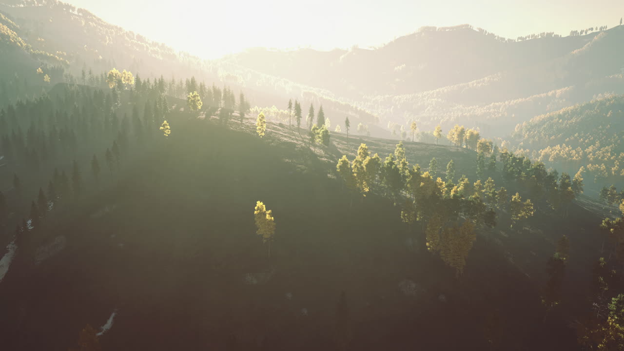 Breathtaking mountain landscape with sunlit trees during autumn season