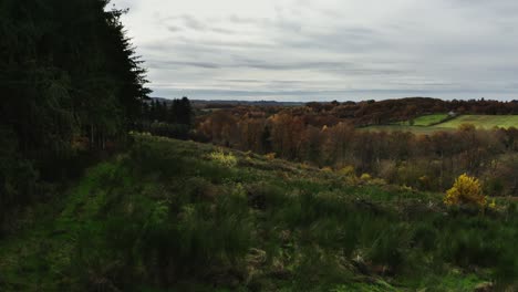 Filmische-Luftaufnahme-Der-Französischen-Landschaft,-Bäume,-Straßen-Und-Dörfer