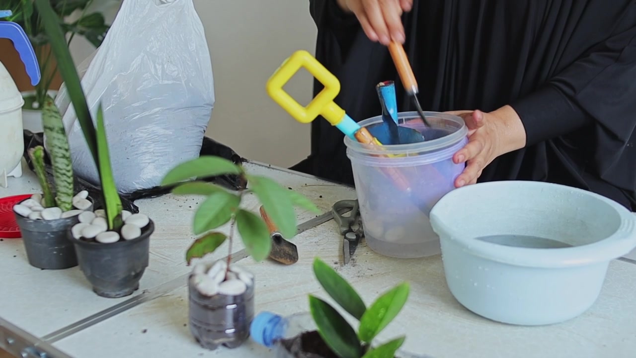 Vídeo ASMR de Jardinagem: Organizando e Armazenando Ferramentas de Jardinagem em Balde de Plástico sobre a Mesa.