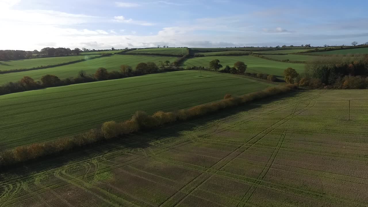 Drone flying over luscious green fields with tasteful, light natural lens flares from the sun