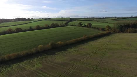 Drone-flying-over-luscious-green-fields-with-tasteful,-light-natural-lens-flares-from-the-sun