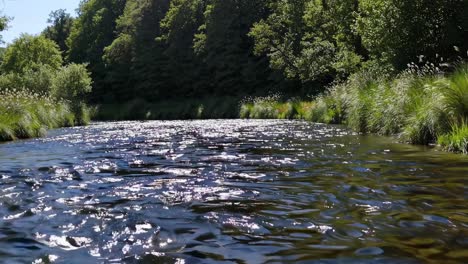 Serene river scene with sunlight sparkling on water, captured from a low angle