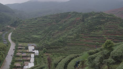 Berglandschaft-Mit-Chinesischen-Grüntee-Plantagenterrassen-An-Den-Hängen-Und-Touristischen-Campingzelten-Unten-An-Einem-Bewölkten-Regentag