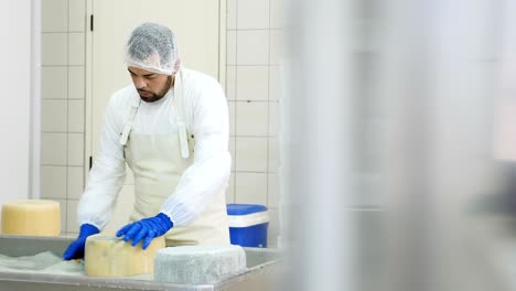 cheese maker rubbing cheese shape- cheese production