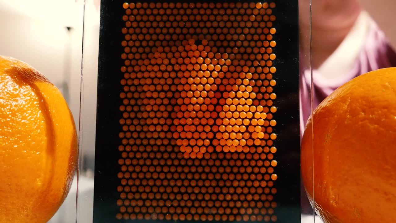 두 개의 오렌지 사이에 놓인 핀 아트 장난감을 누르는 소녀