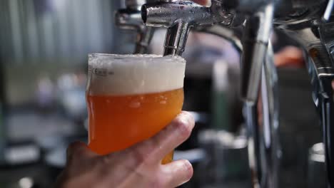 Bartender-pouring-a-pint-of-golden-beer-at-a-garden-party-in-super-slow-motion