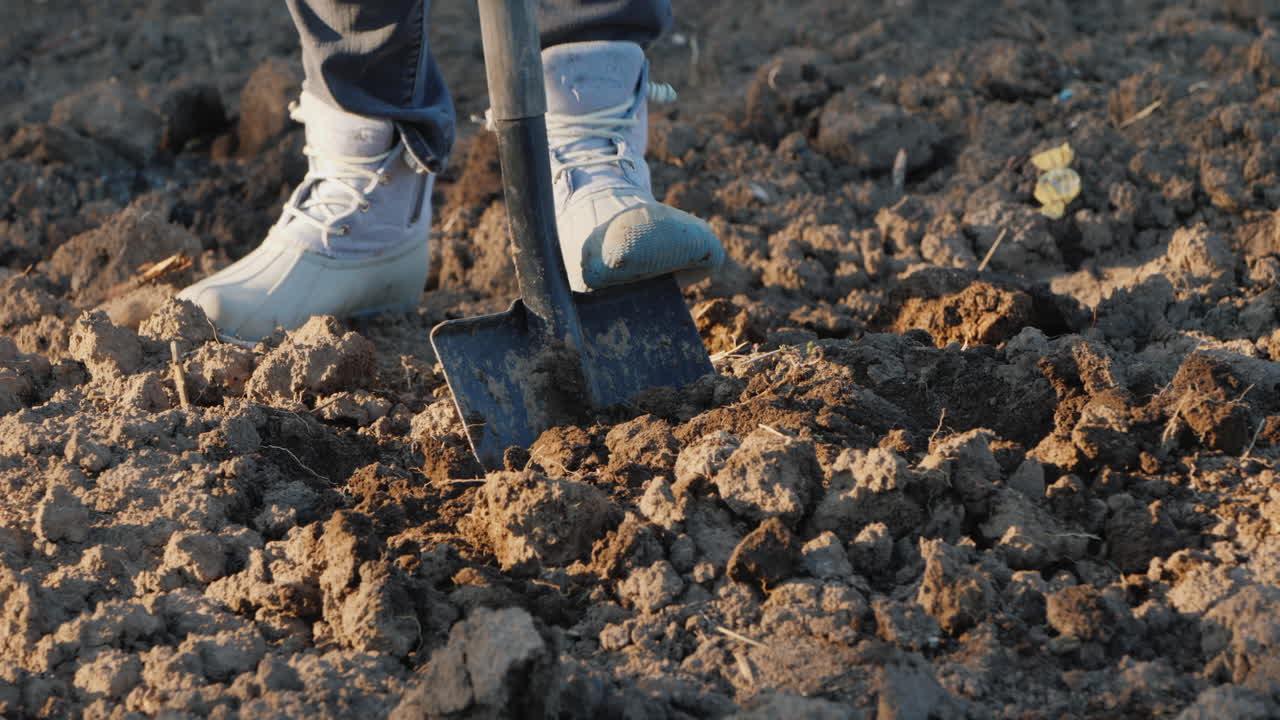 las piernas de un agricultor con una pala cavan un huerto manual de mano de obra rural
