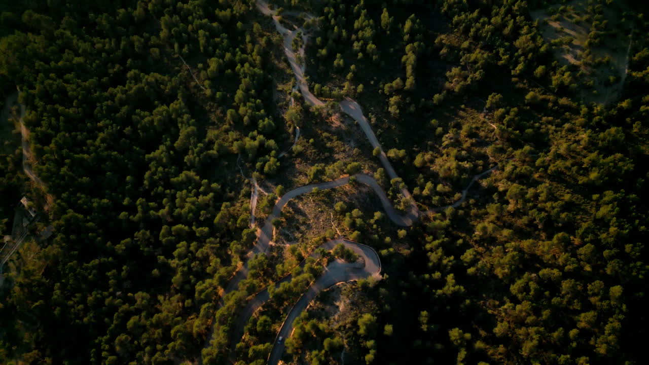 Snoet vej snor sig gennem frodig mallorcinsk skov ved solnedgang.