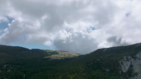 valley of pine in mountain with clouds, french alps