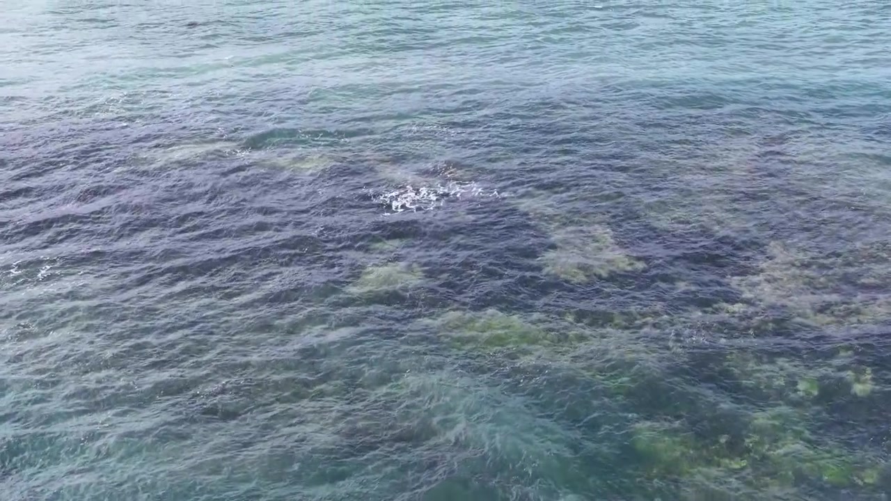 High angle drone shot of turquoise sea water swirling over dark coastal rocks in Australia.