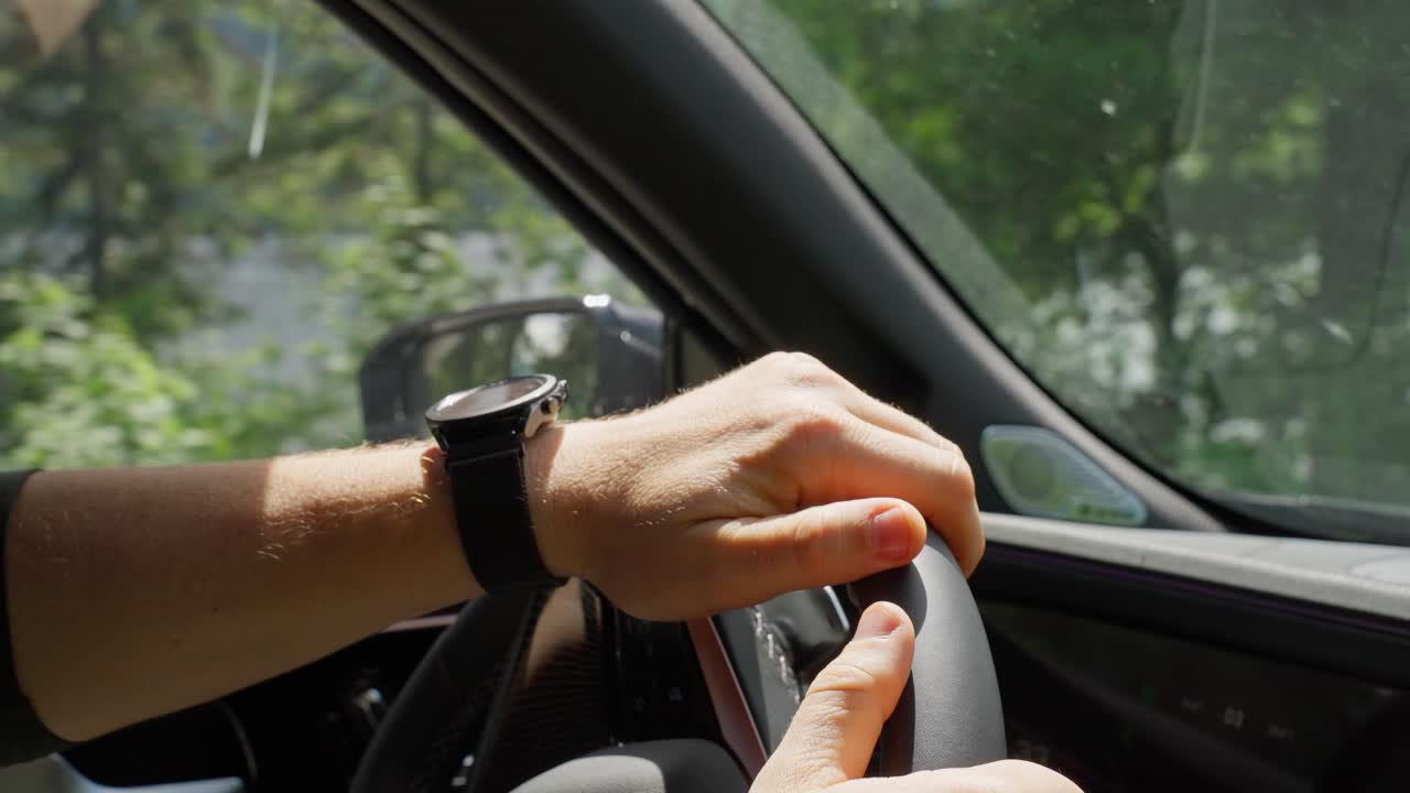 Driving through a Forest Landscape