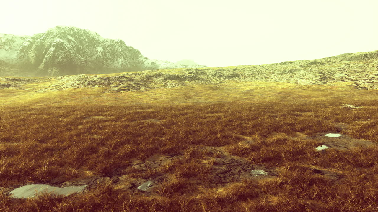 Expansive grassland under a hazy sky amid majestic mountains