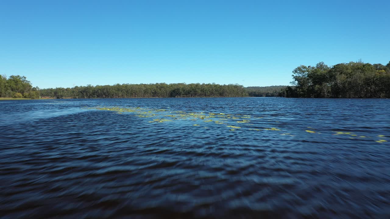 lago kurwongbah en queensland, disparo de dron comenzando bajo y subiendo por encima de las almohadillas de lirio y elevándose para revelar el lago en toda su belleza