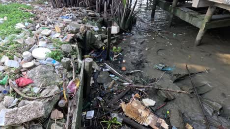 volunteers clearing trash from a clogged stream