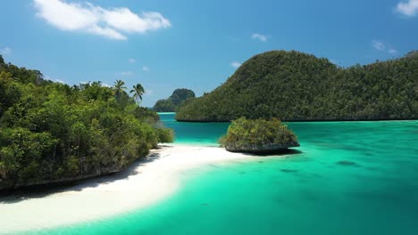 Excelente-Toma-De-Palmeras-Y-Otra-Espesa-Vegetación-Que-Bordea-Las-Playas-De-Las-Islas-Wayag,-Raja-Ampat,-Indonesia