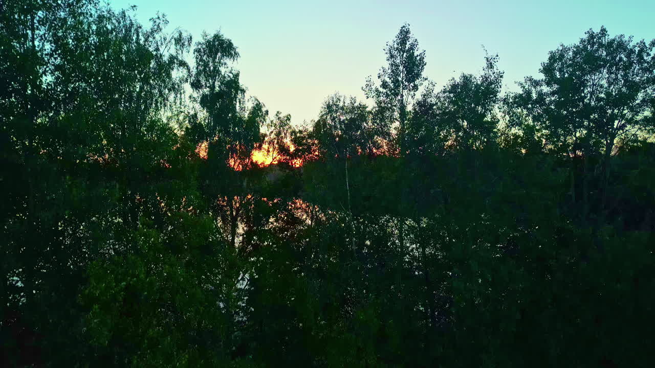 해가 지는 동안 나무의 실루과 함께 상승하는 호수가 드러났습니다.