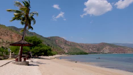 a scenic, remote white sandy beach, turquoise ocean water and timorese fishermen in traditional fishing canoe on a windy day with coconut palm tree blowing on tropical island in dili, timor leste