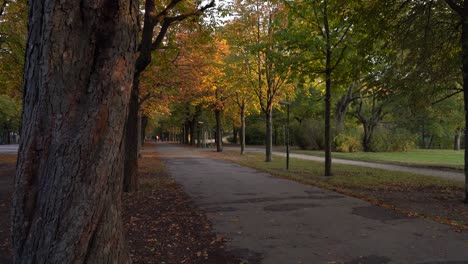 Bäume-Reihen-Sich-Im-Herbst-Im-Prater,-Österreich,-Unter-Dem-Weißen-Himmel-Aneinander---Nach-Unten-Geneigter-Schuss-4k