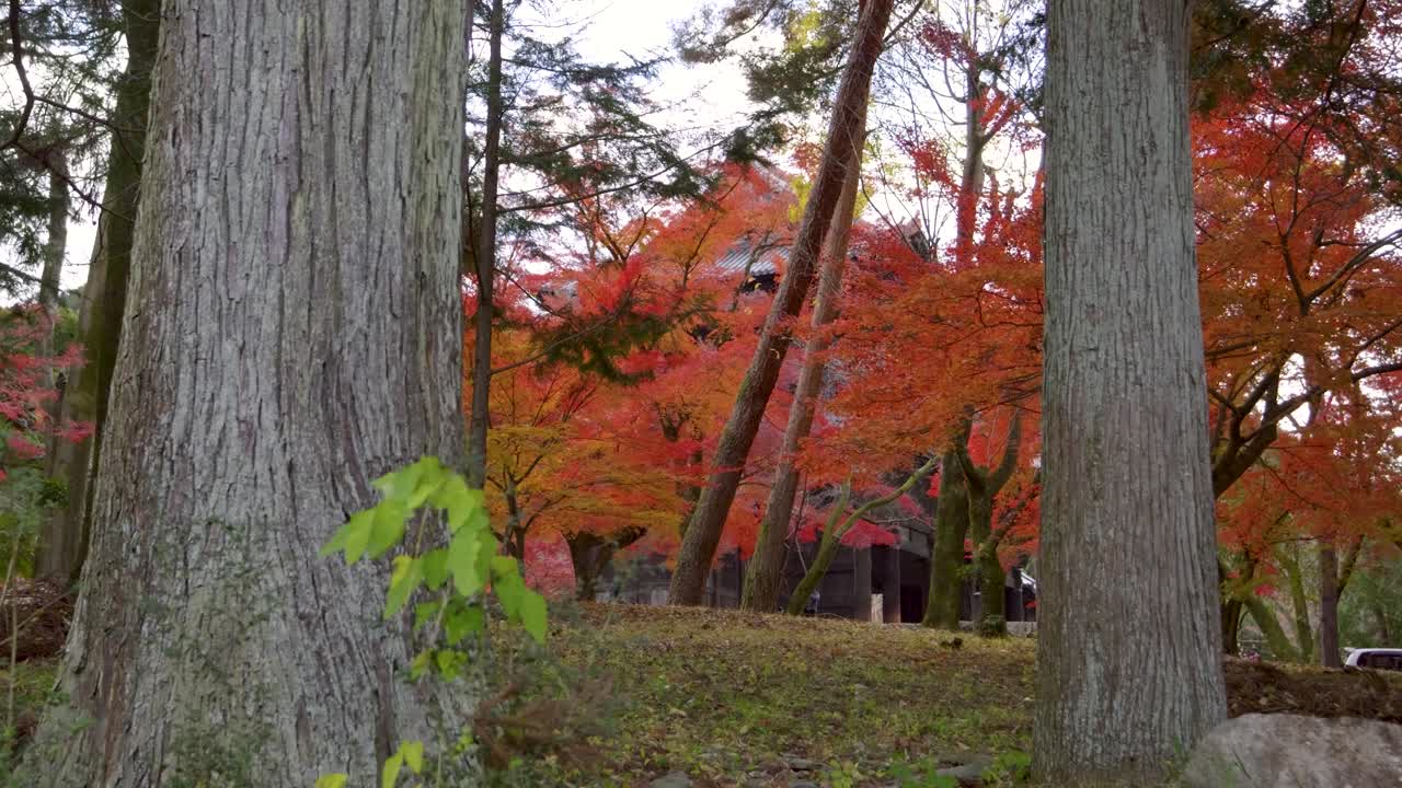 Slow cinematic sideways slider over stunning temple grounds in Japan