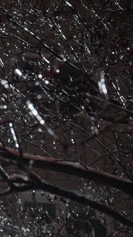 primer plano de ramas de árboles desnudas con hielo y nieve brillantes, iluminadas por la luz de las ventanas de los edificios cercanos, creando una hermosa escena de invierno con detalles relucientes