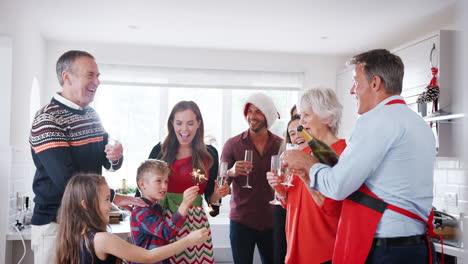 familia de varias generaciones y amigos celebrando con bebidas antes de la cena en la fiesta de la casa de navidad