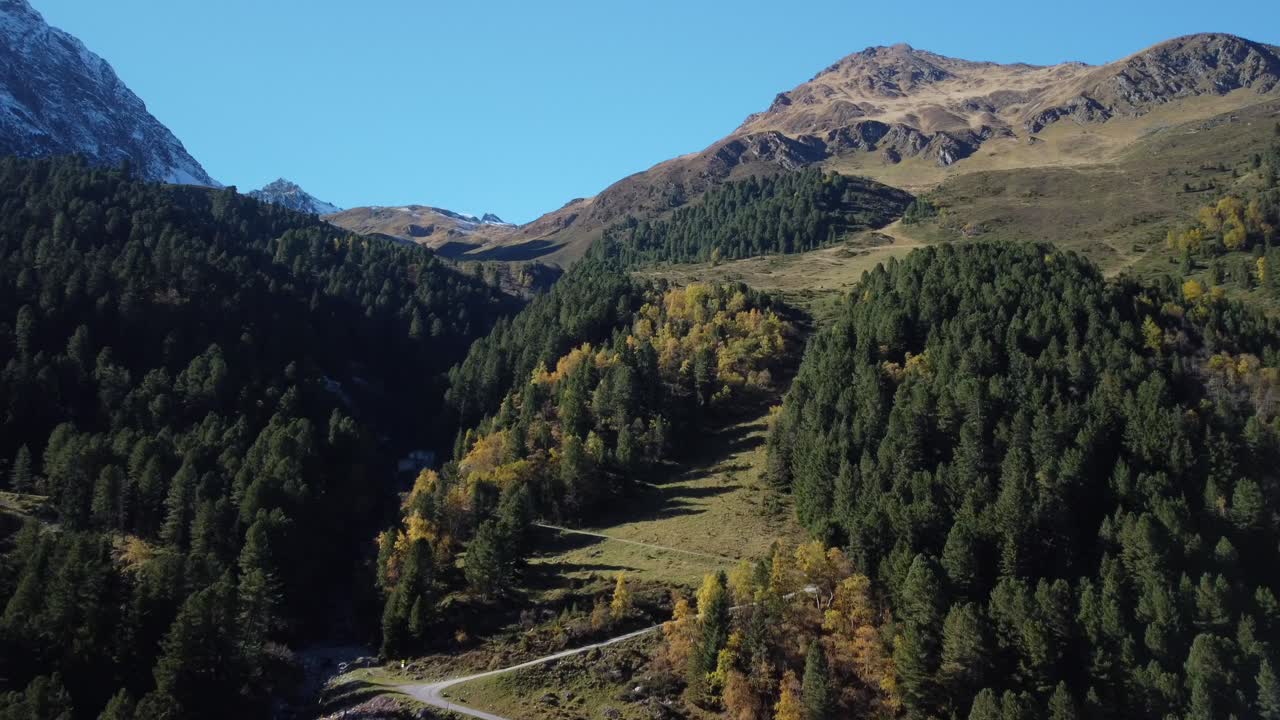vista aérea cinematográfica de un vuelo sobre el colorido bosque de octubre del valle de lüsens, ubicado en austria
