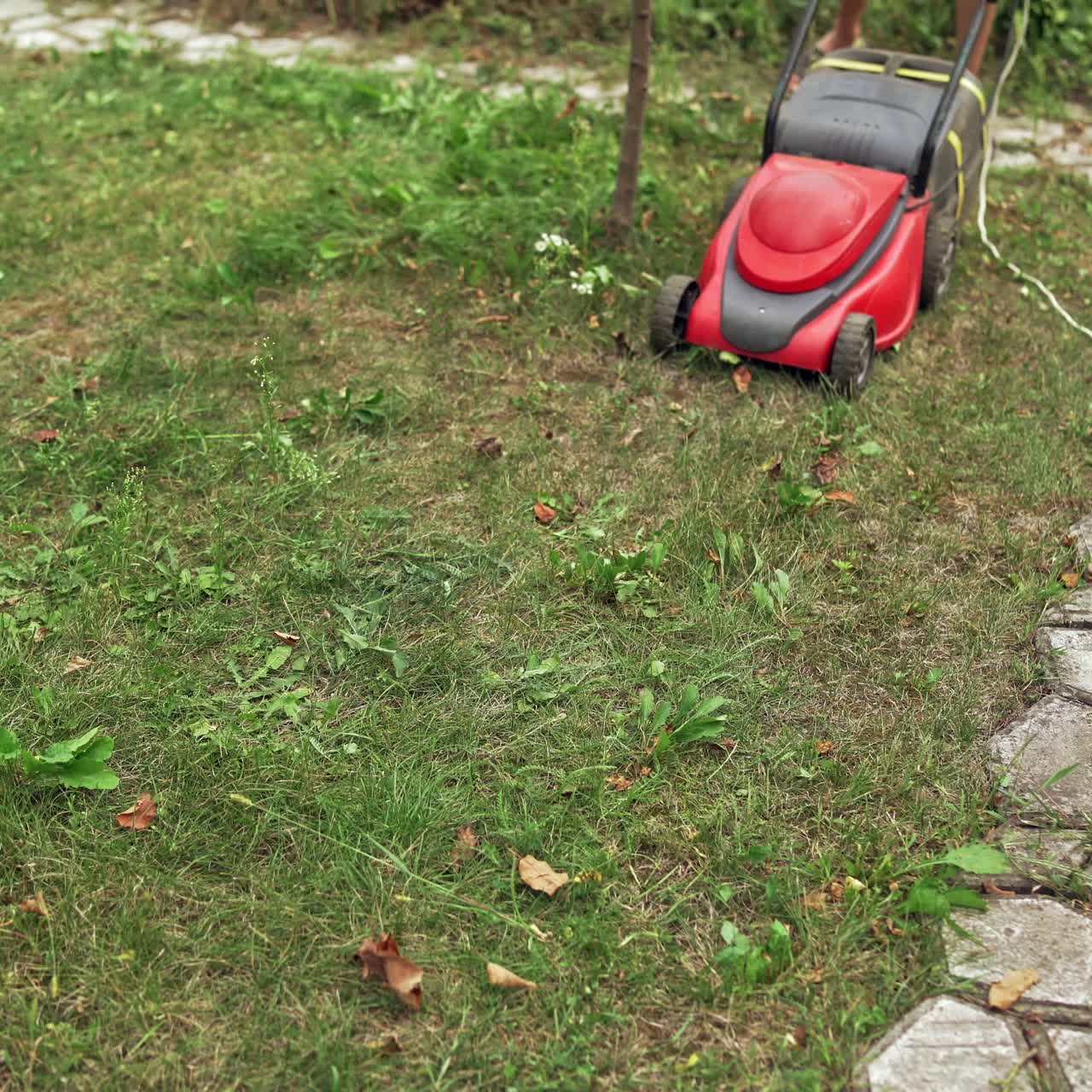 A lawn mower is cutting green grass. Young boy with a lawn mower is working in the backyard