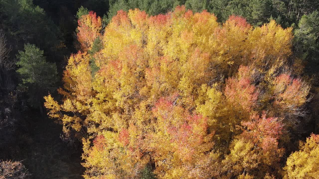 vistas aéreas de las montañas de los pirineos españoles en otoño