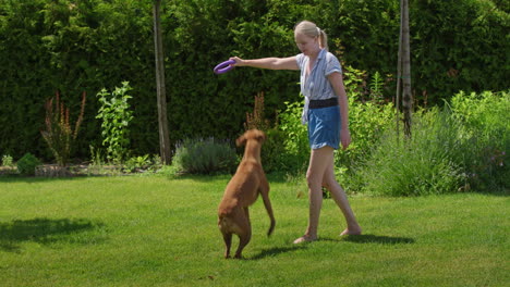 chica jugando al frisbee con el perro en el jardín