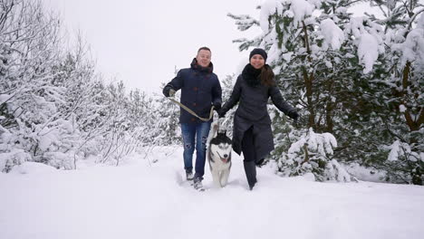 Man-and-woman-have-fun-walking-with-Siberian-husky-in-winter-forest-playing-and-throwing-snow