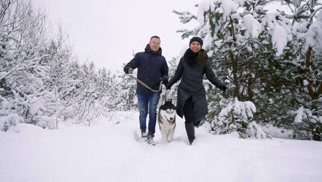 hombre y mujer se divierten caminando con husky siberiano en el bosque invernal jugando y arrojando nieve