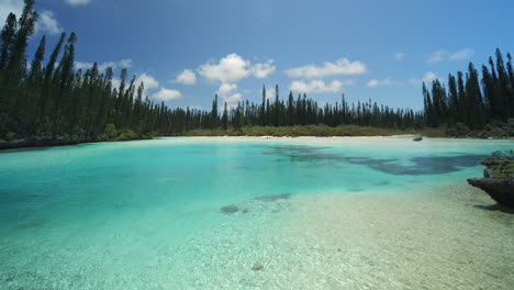 the crystal clear water at the natural pool at oro bay on the isle of pines - panoramic view