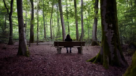 person sitting alone on a bench in a serene forest