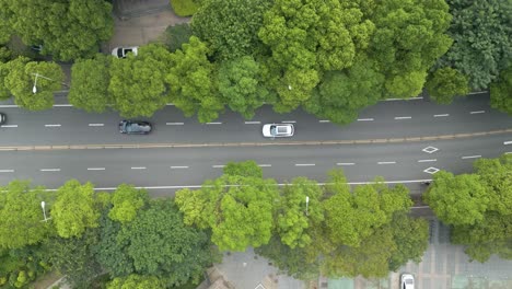 Toma-Aérea-De-Un-Dron-Con-Carretera-Y-Automóvil-Electrónico-Y-Un-Entorno-Tranquilo-Junto-A-Los-árboles-En-El-Distrito-De-Pu-Tuo-Qu,-Shangai,-China