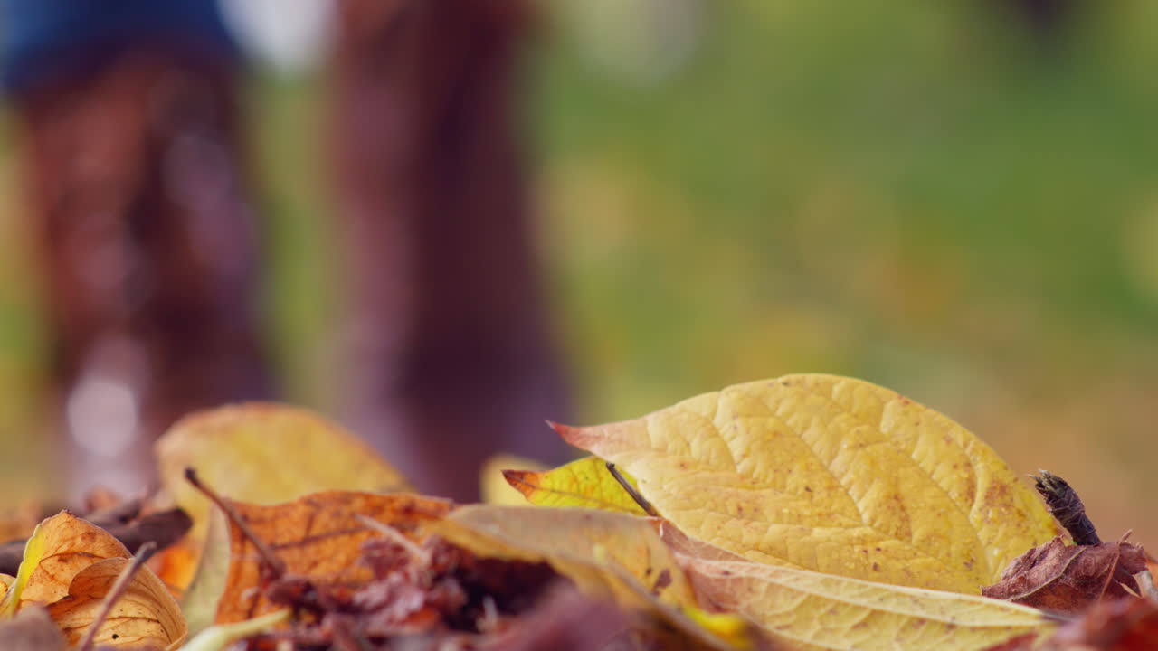 Primo Piano di Stivali Marroni che Camminano su Foglie Autunnali