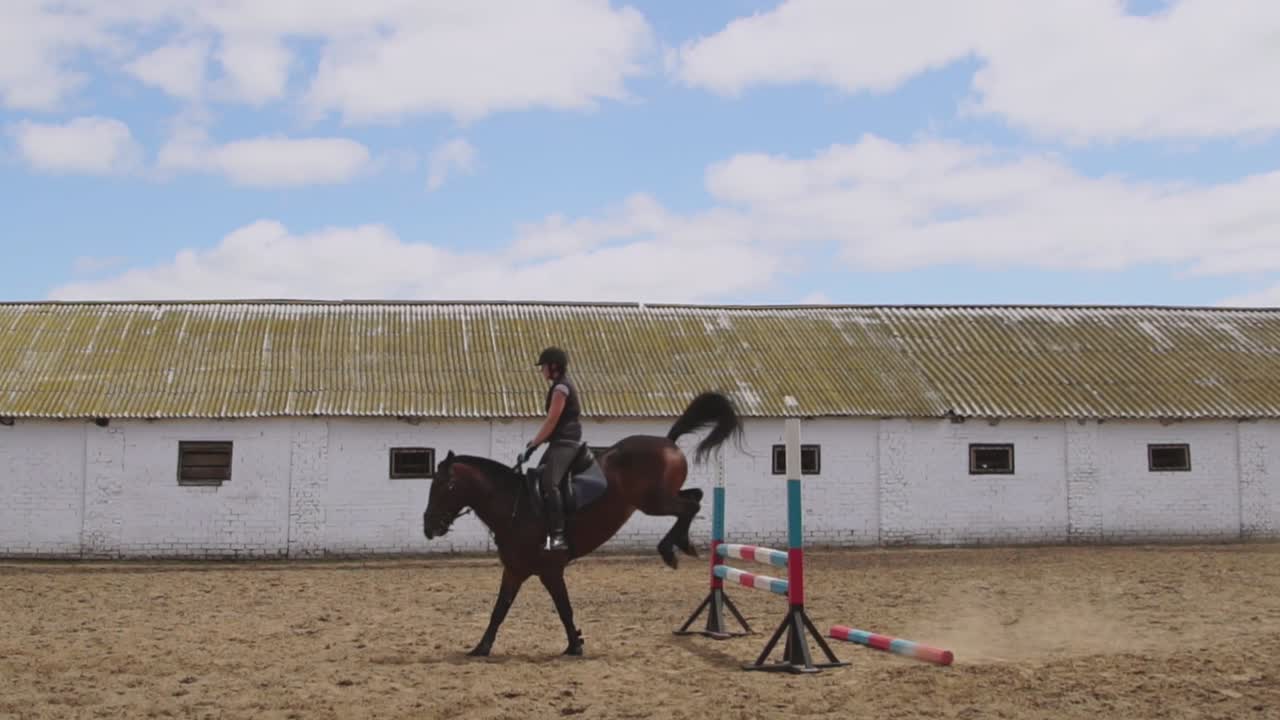 salto de caballo en la arena ecuestre