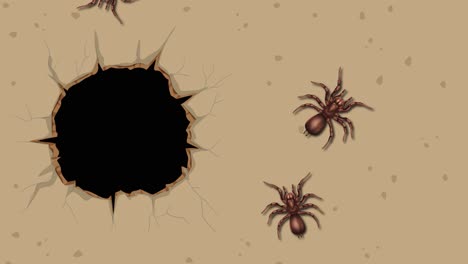a spider approaches and explores a dark hole in the ground, showcasing curiosity and movement in a sandy environment