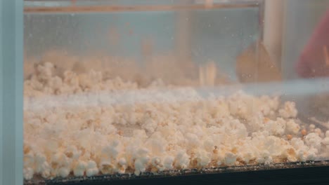 golden popcorn tumbling into a heated glass cabinet at a fair