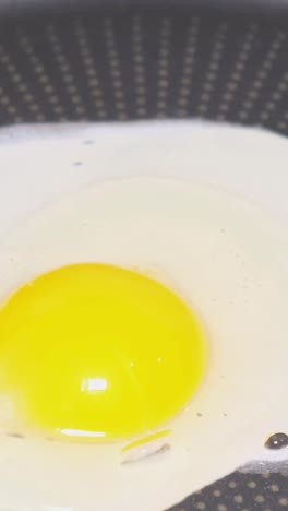 a chicken egg falling into a frying pan closeup cooking scrambled eggs a chicken egg falling into a frying pan closeup cooking scrambled eggs