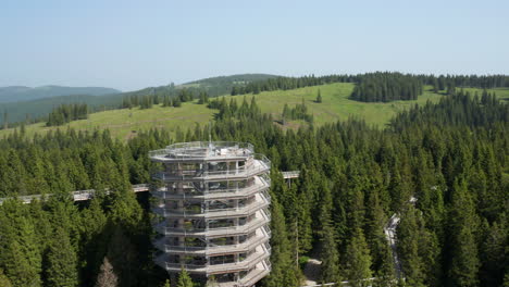 pohorje treetop walk, rogla slovenia - aerial pullback