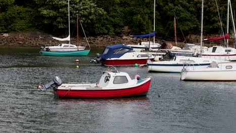 red boat moving among anchored sailboats