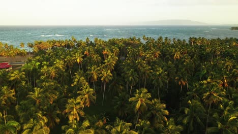 Vuelo-De-Drones-Sobre-La-Espesa-Vegetación-De-La-Costa-De-Nagua